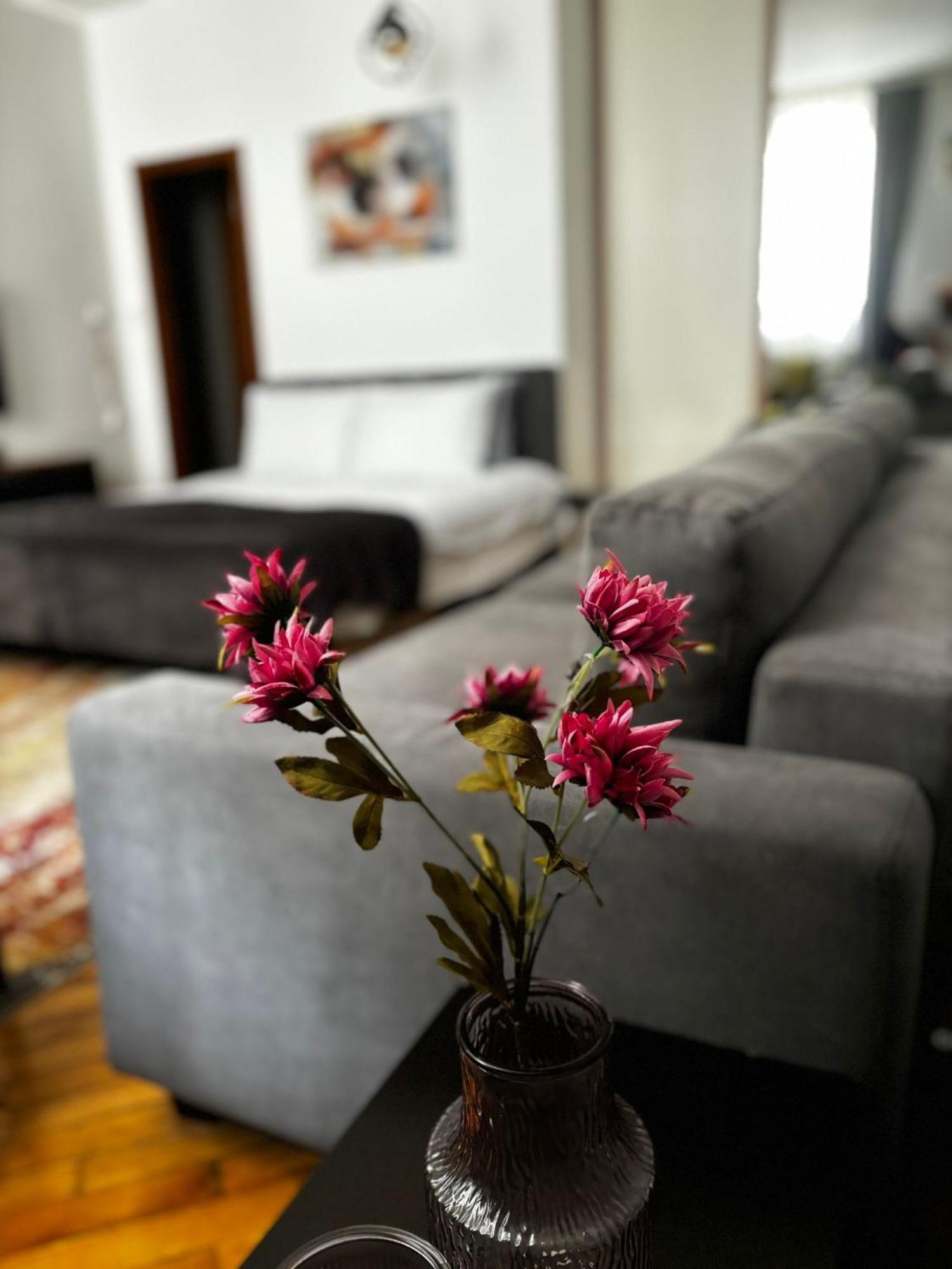 Apartment Mila SJJ Extérieur photo
